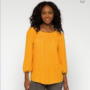 41 Hawthorn Clarita Pleat Detail Blouse